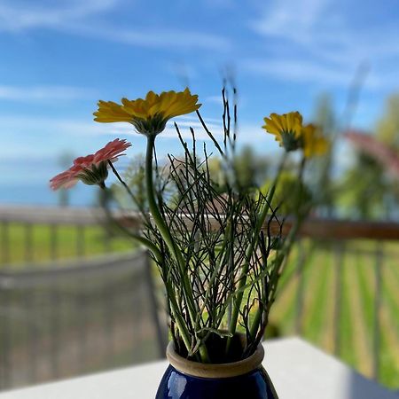 Appartementhotel Roehrenbach Immenstaad am Bodensee Eksteriør billede