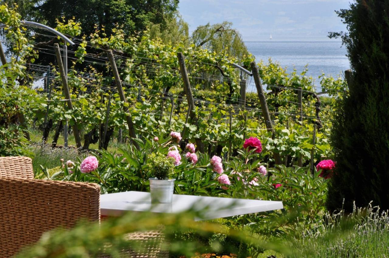 Appartementhotel Roehrenbach Immenstaad am Bodensee Eksteriør billede