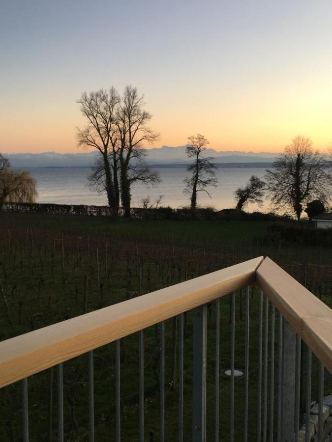 Appartementhotel Roehrenbach Immenstaad am Bodensee Eksteriør billede