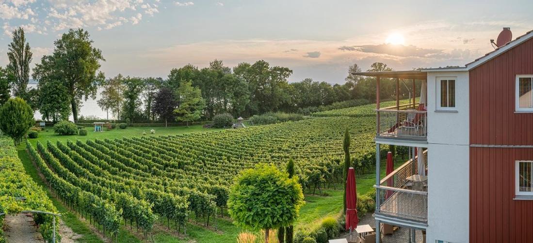 Appartementhotel Roehrenbach Immenstaad am Bodensee Eksteriør billede