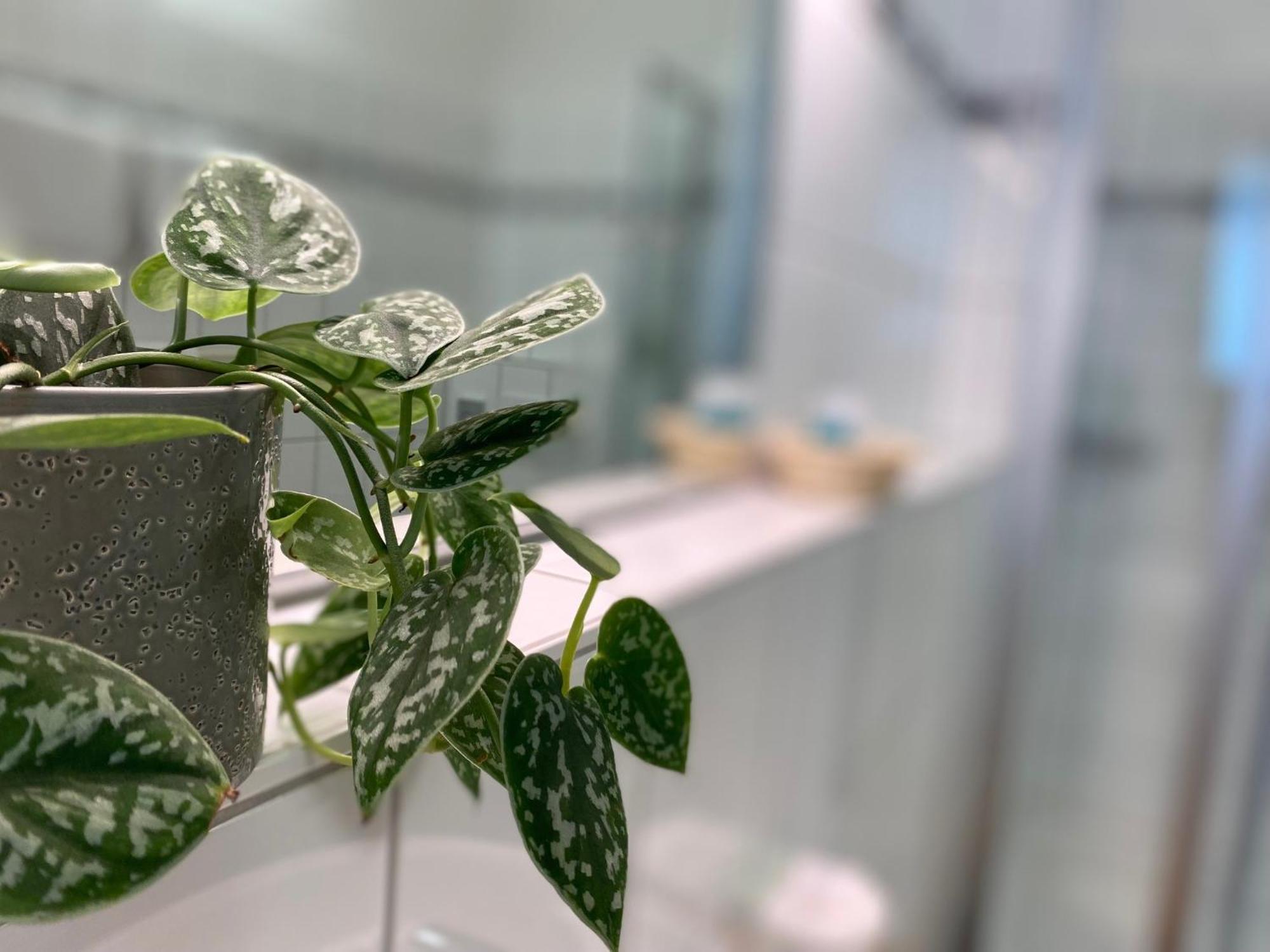 Appartementhotel Roehrenbach Immenstaad am Bodensee Eksteriør billede