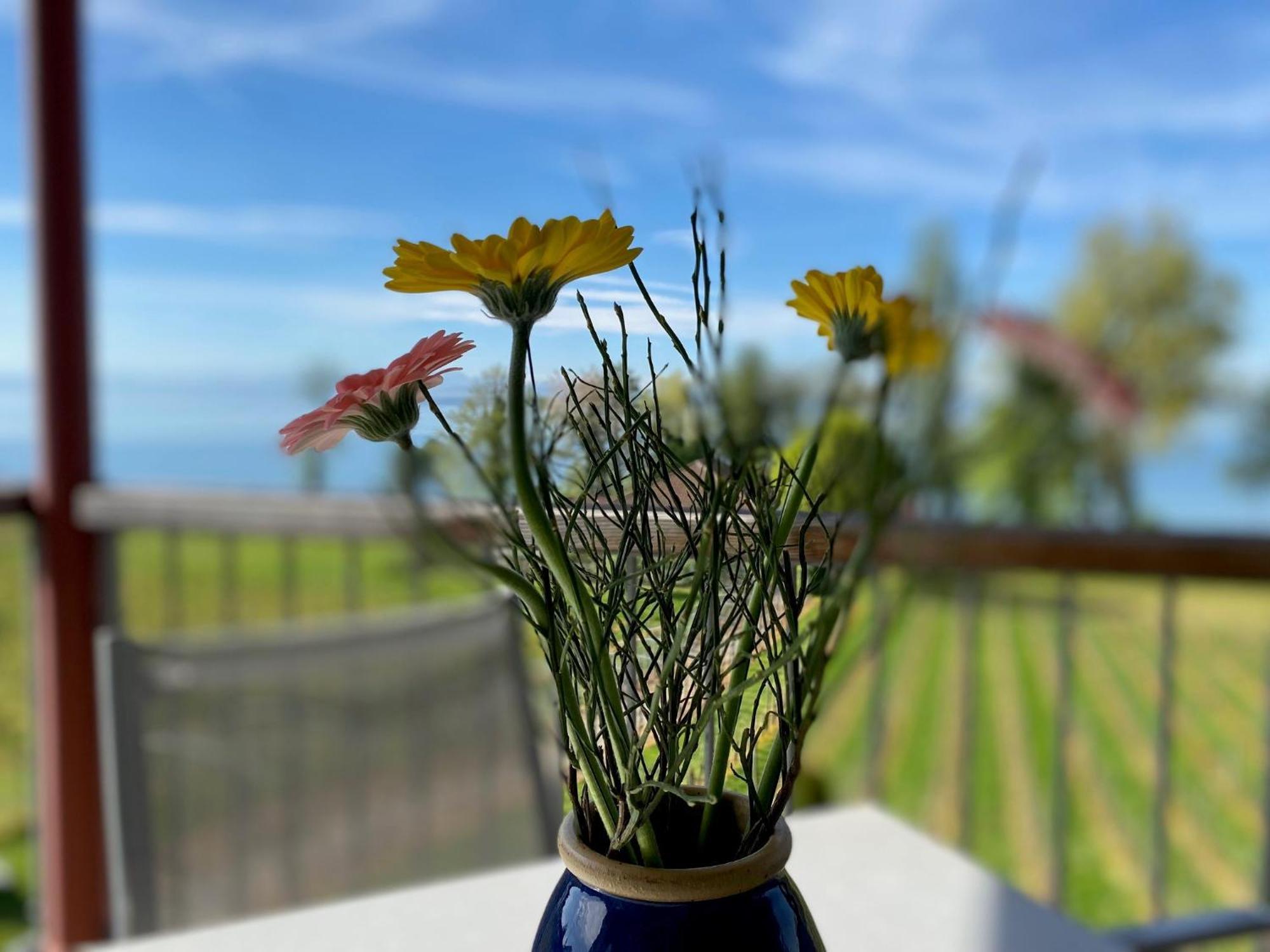 Appartementhotel Roehrenbach Immenstaad am Bodensee Eksteriør billede